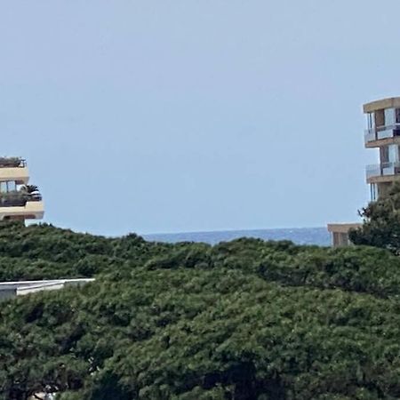 Tres Beau T4 A Frejus Plage Διαμέρισμα Εξωτερικό φωτογραφία