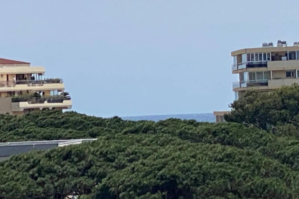 Tres Beau T4 A Frejus Plage Διαμέρισμα Εξωτερικό φωτογραφία